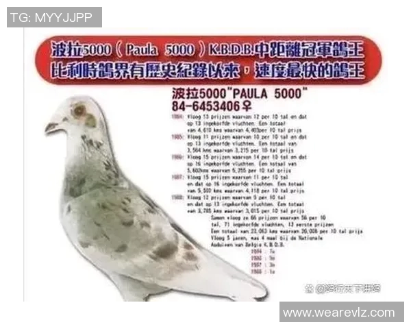 古氏足球明星的传奇故事与成就揭秘