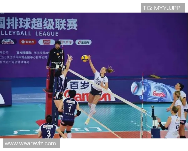 深圳排球队转型之路的挑战与机遇全景观察